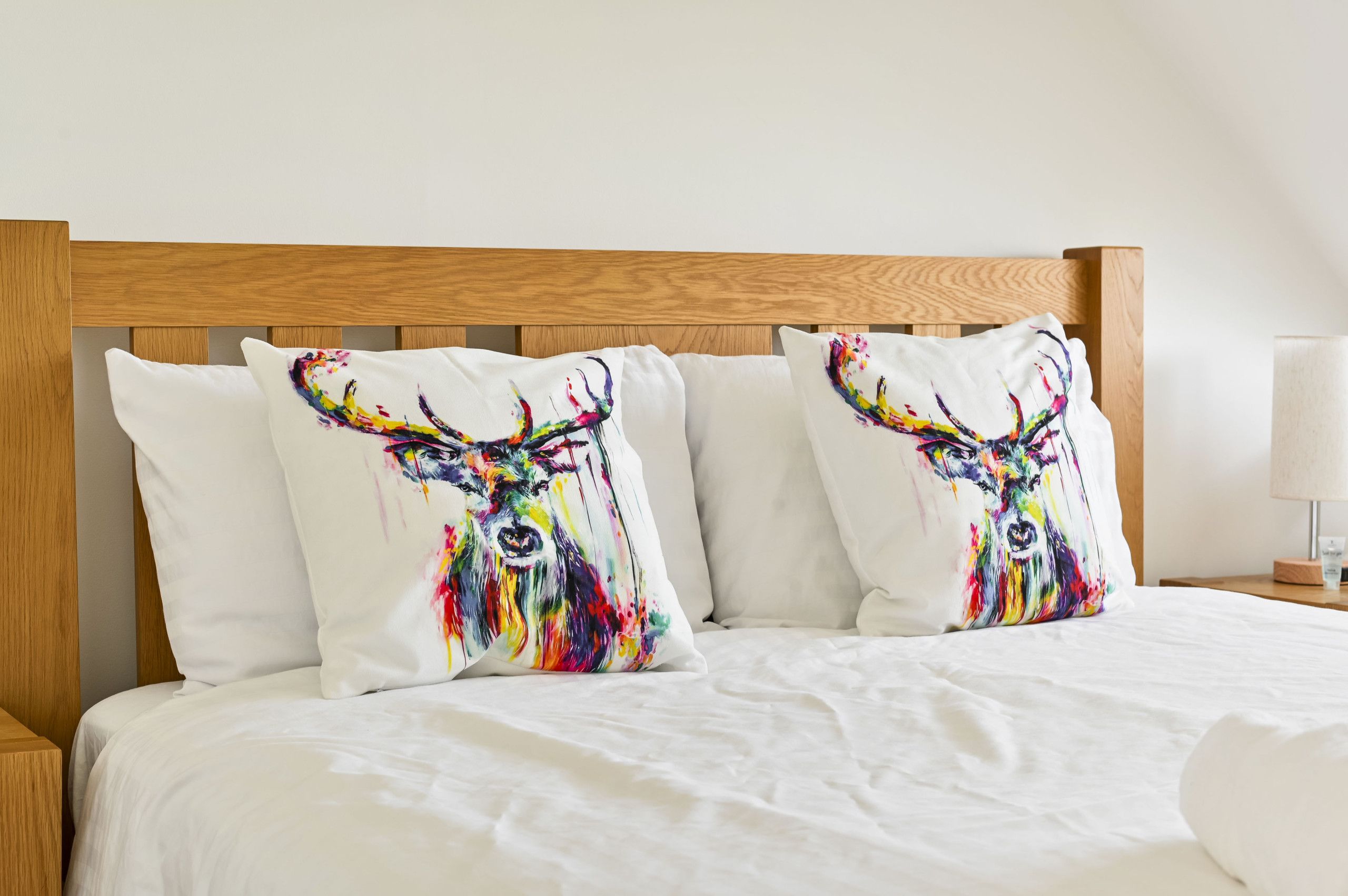 Iron/ironing board, WiFi (free), bed sheets