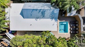 A rooftop with a swimming pool, surrounded by palm trees and a wooden deck. - **SECRET SAND DOLLAR** Home & Pool + Last Key White Glove Service... (Key West)