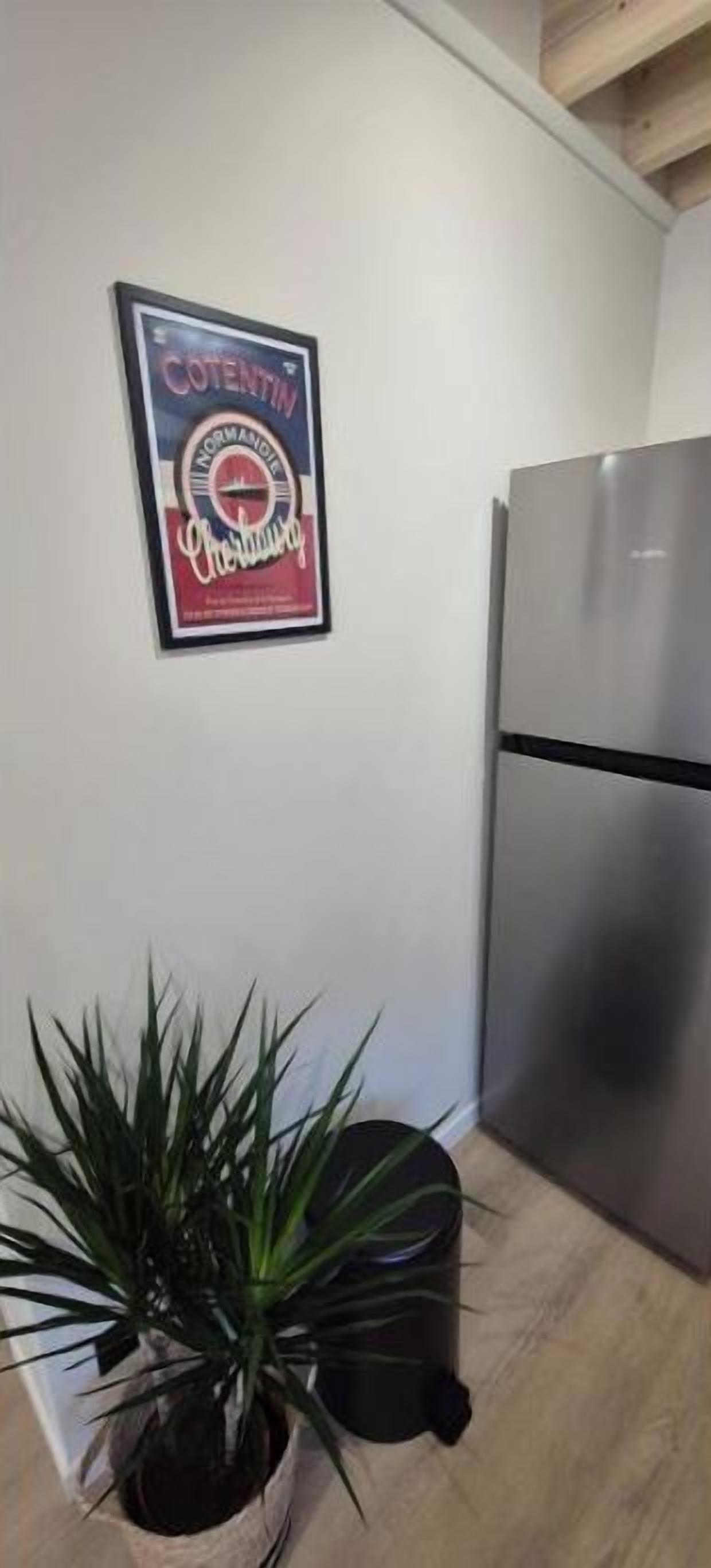A kitchen with a stainless steel refrigerator, a potted plant, and a framed poster on the wall.