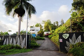 A pathway leading to a residential area with a white building, surrounded by lush greenery and palm trees.