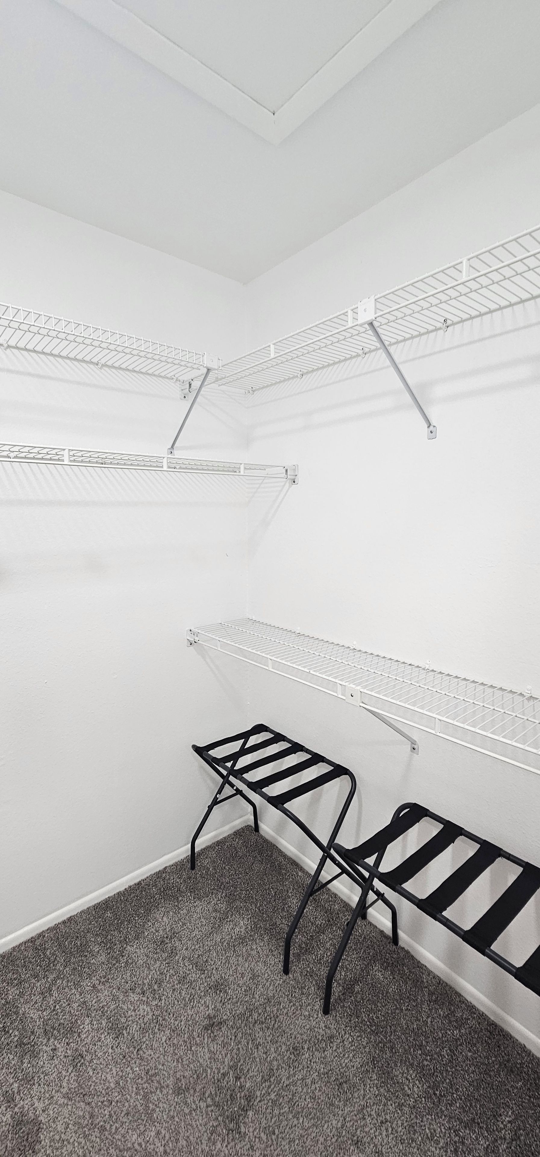 A room with white walls and a gray carpet, featuring two black metal drying racks and a white ceiling.