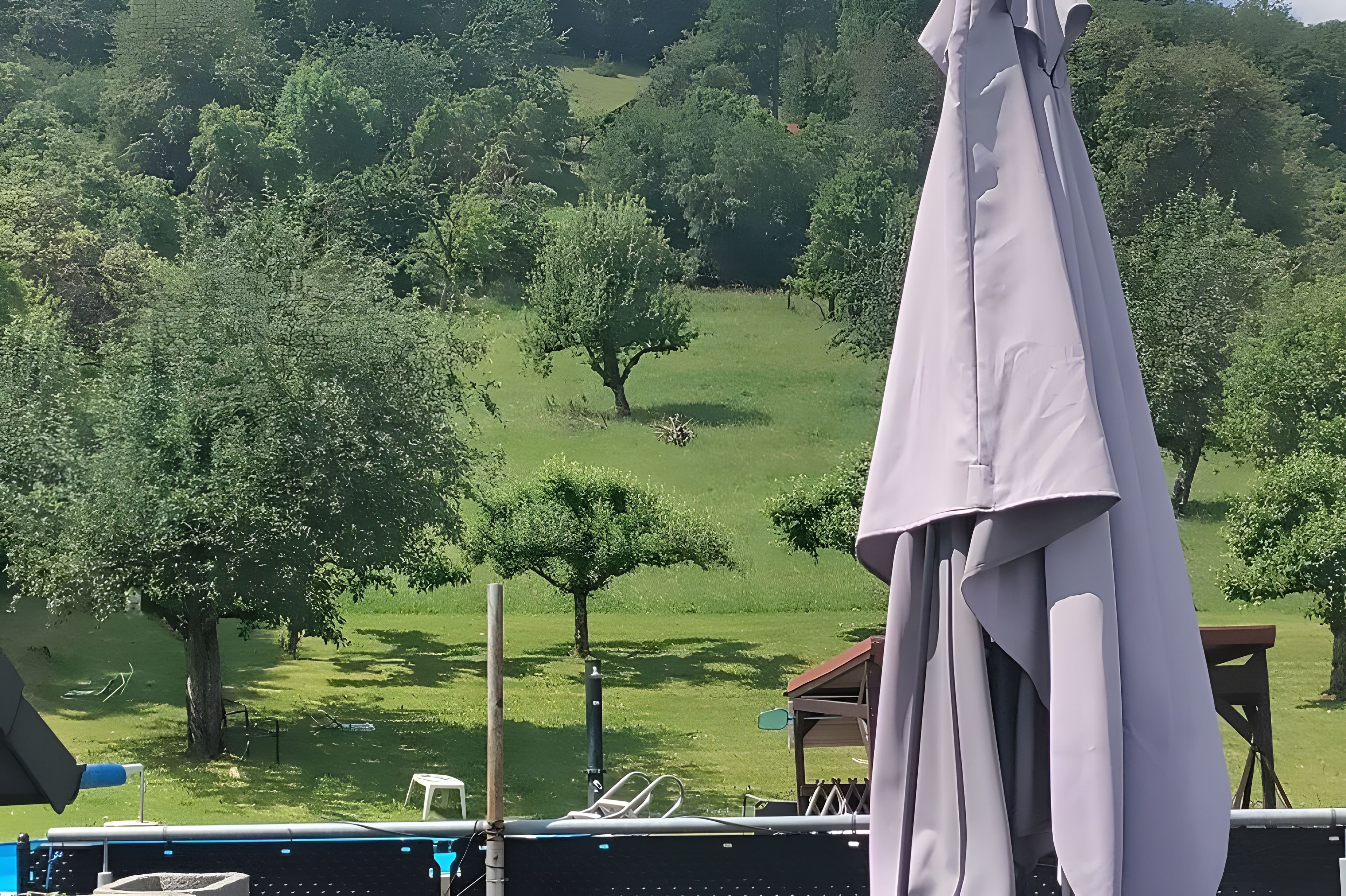 Une vue d’une zone herbeuse avec des arbres et un kiosque.