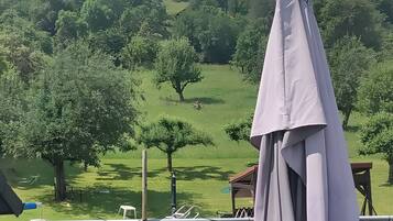 Une vue d’une zone herbeuse avec des arbres et un kiosque.