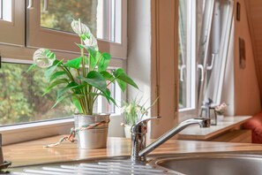 A kitchen with a stainless steel sink, a potted plant with green leaves, and a window with a view of trees.