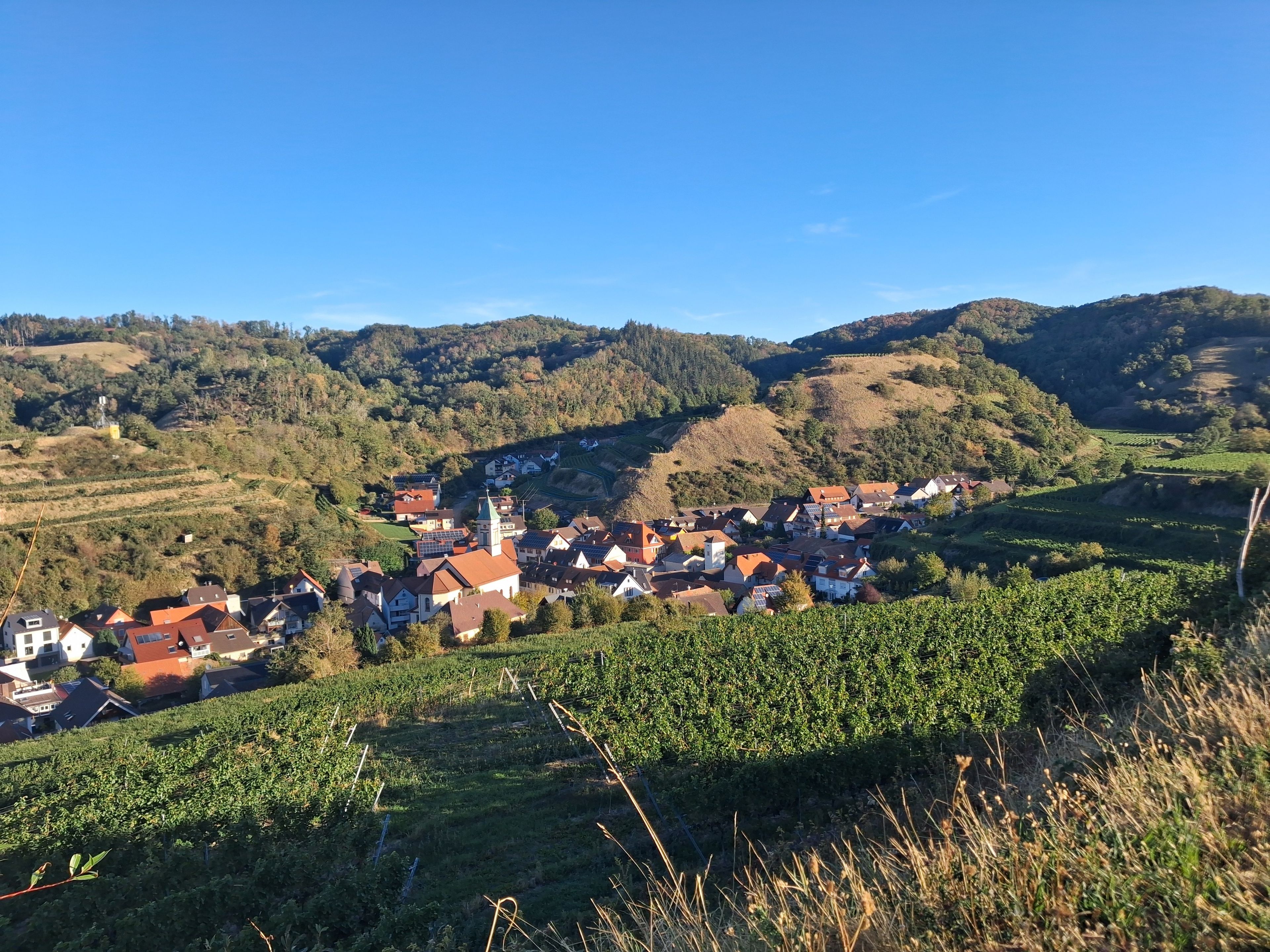 En landsby med huse, kirke og vinmarker.