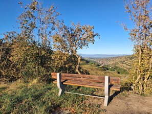 A wooden bench in a natural setting with a view of a valley and distant hills.