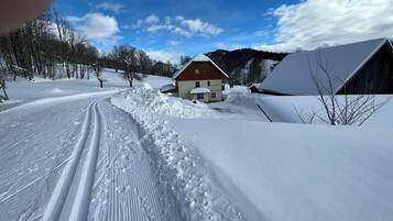Schneebedeckte Landschaft mit einem Holzhaus und einer Scheune.