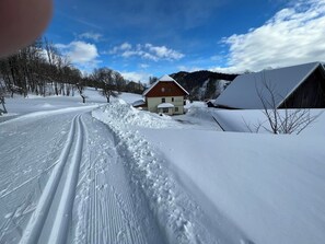 Schneebedeckte Landschaft mit einem Holzhaus und einer Scheune.