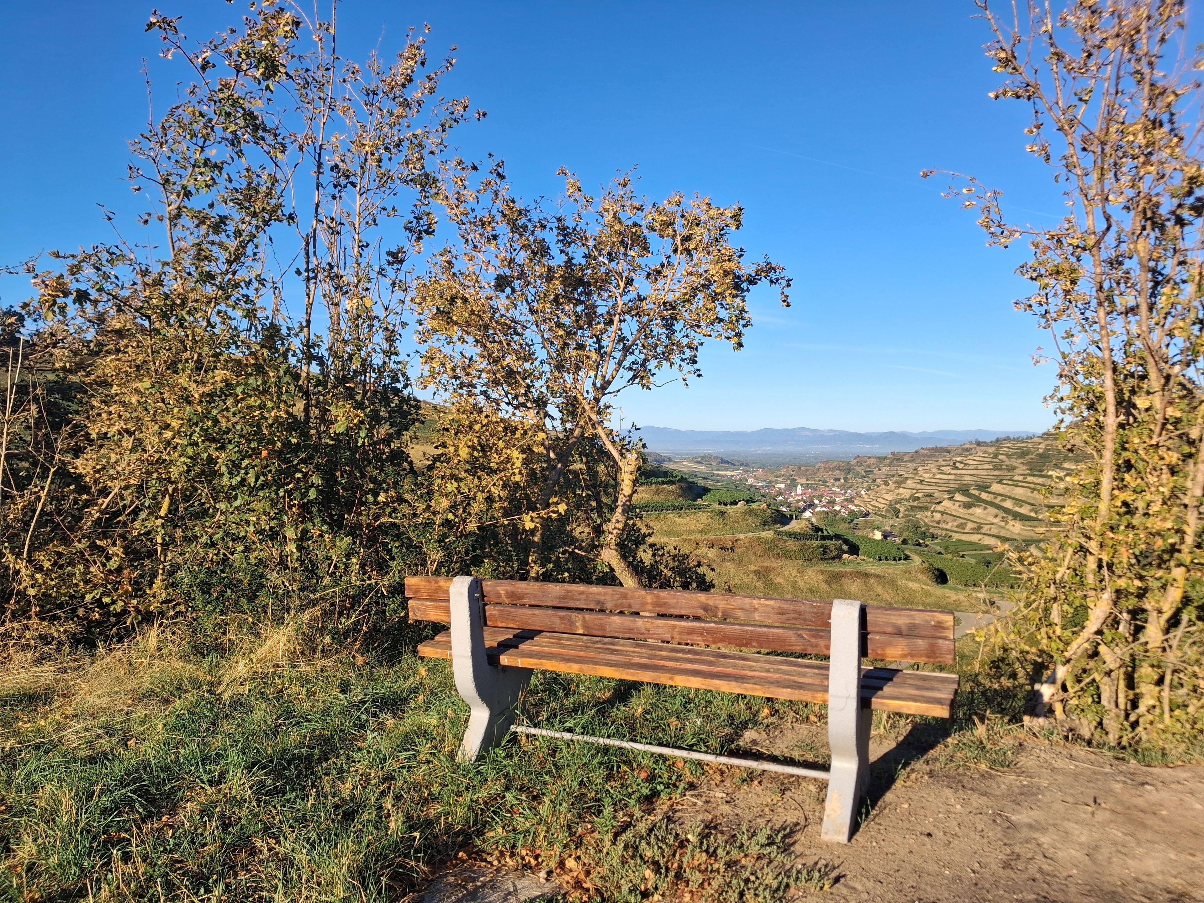 A wooden bench in a natural setting with a view of a valley and distant hills.