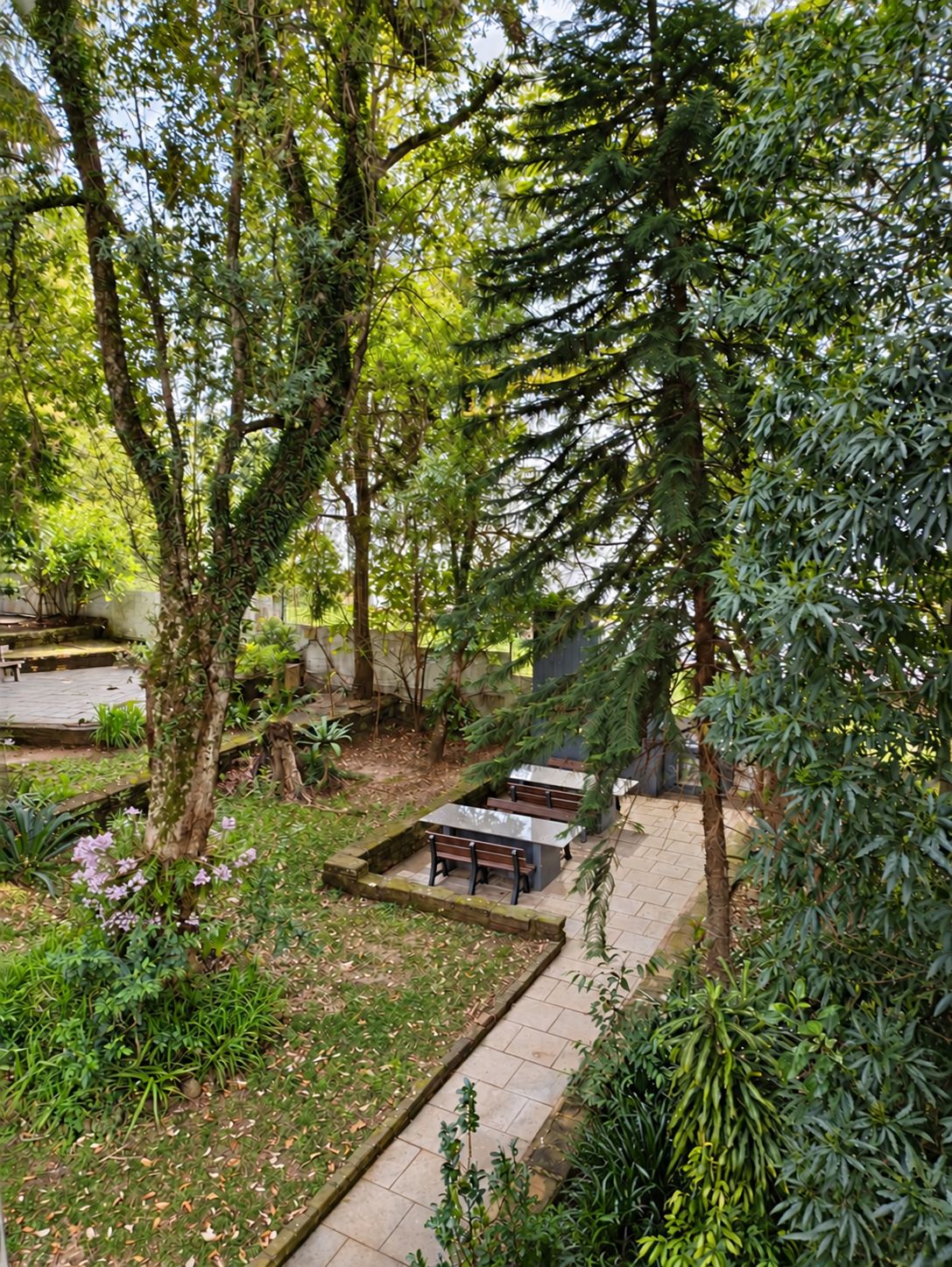 Un espacio al aire libre con mesas y bancos, rodeado de abundante vegetación y árboles.