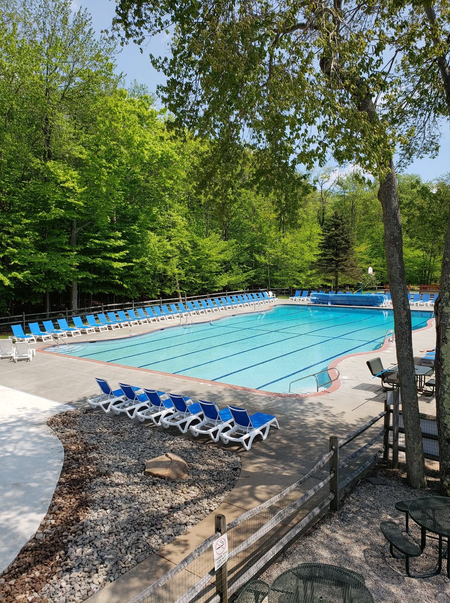 A swimming pool with blue chairs and a fenced area, surrounded by trees.
