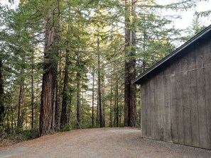 Ein Kiesweg führt zu einem Holzgebäude, das von hohen Bäumen umgeben ist.