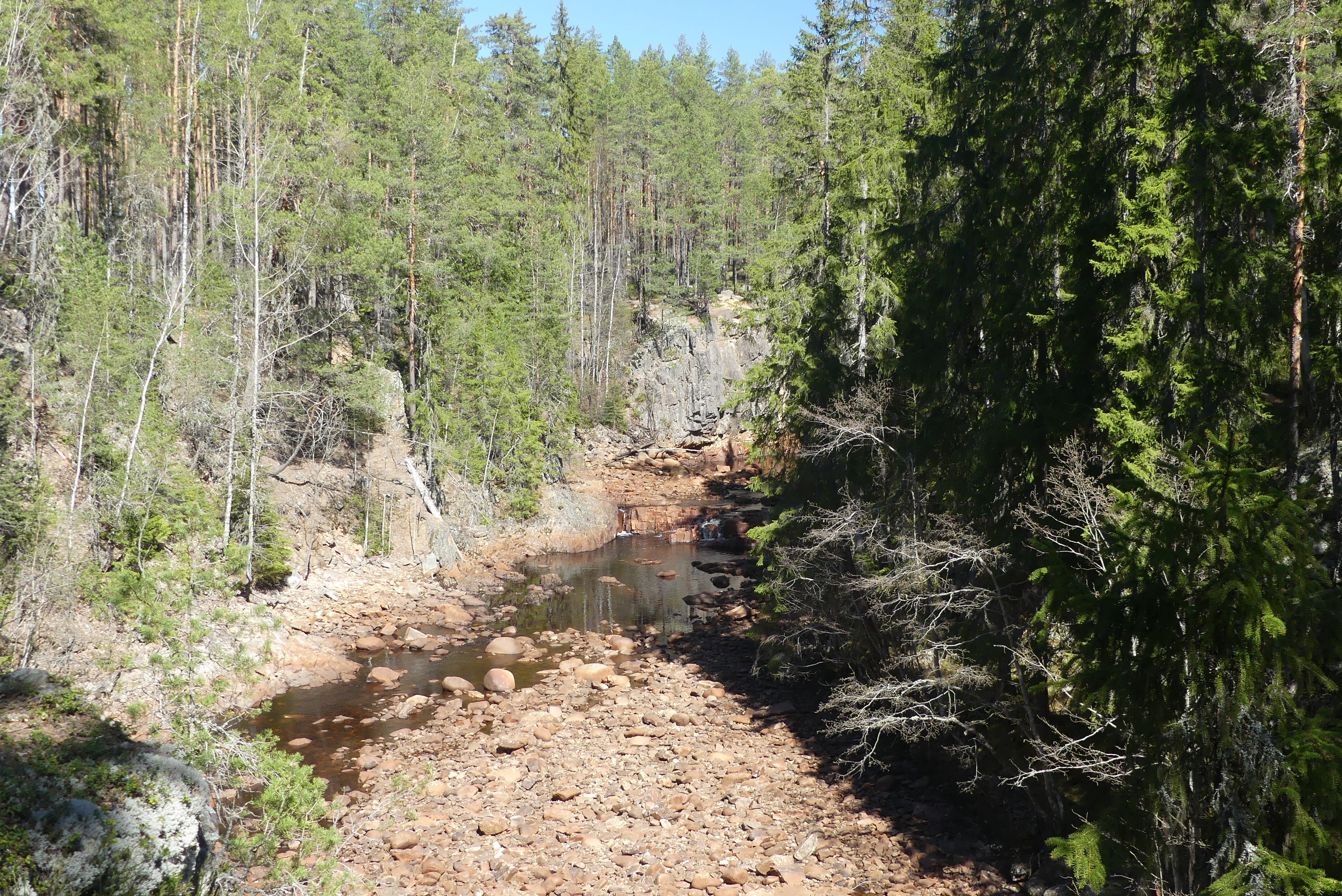 Un paisaje natural con un arroyo pedregoso, un bosque denso y un cielo despejado.