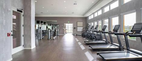 A gym with treadmills, weight machines, and a large windowed wall.