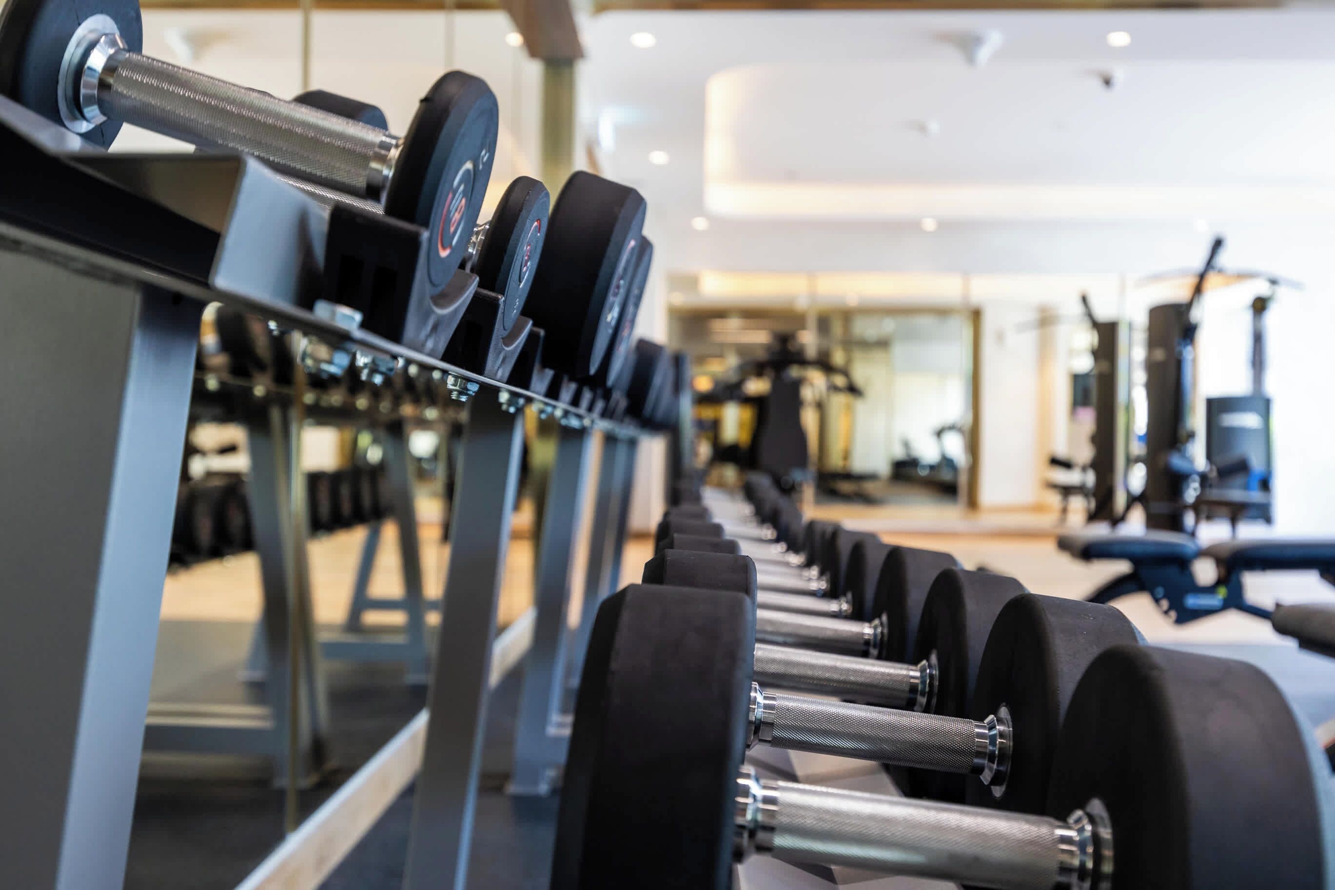 A row of dumbbells on a rack in a gym with mirrors on the wall.