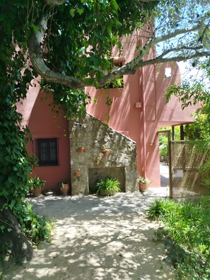 A courtyard with a stone wall, potted plants, and a wooden door. - Hierbabuena Apartment – Perfect for Families (Vejer de la Frontera)