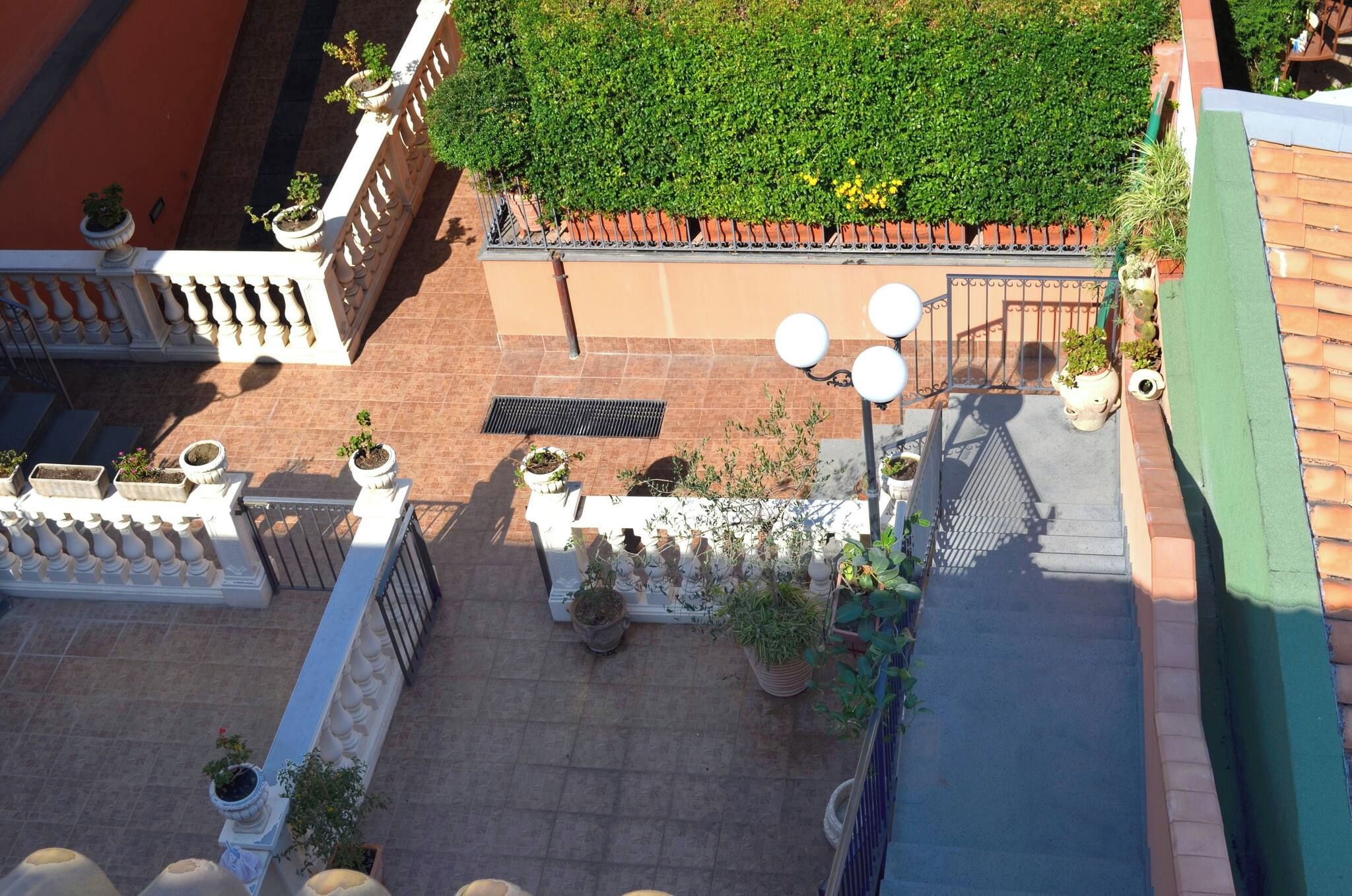 Una terraza en la azotea con plantas en macetas, barandilla de metal y pared verde.