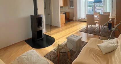 Rooftop Terrace Apartment in Schwabing