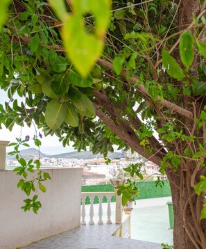 Un balcó amb vista a un paisatge urbà i un arbre amb fulles verdes.