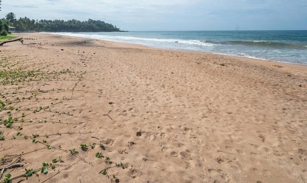 Una spiaggia sabbiosa con impronte e vegetazione rada.