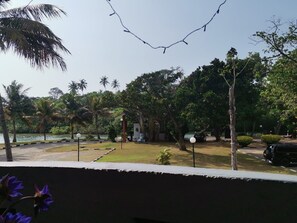 Vista de una zona ajardinada con palmeras, un pequeño estanque y un pabellón.