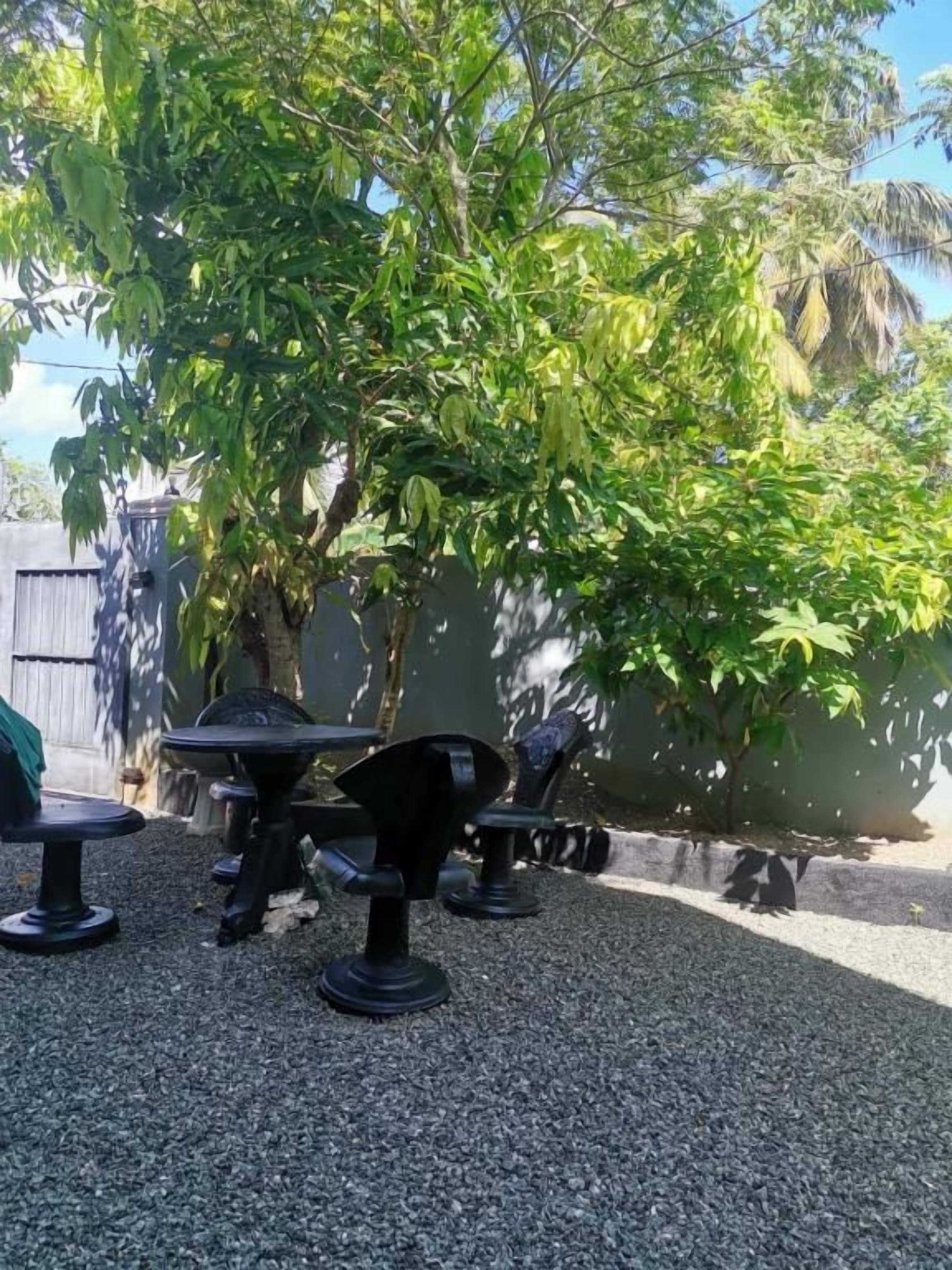 Un espacio al aire libre con mesas y sillas, rodeado de árboles y una pared.