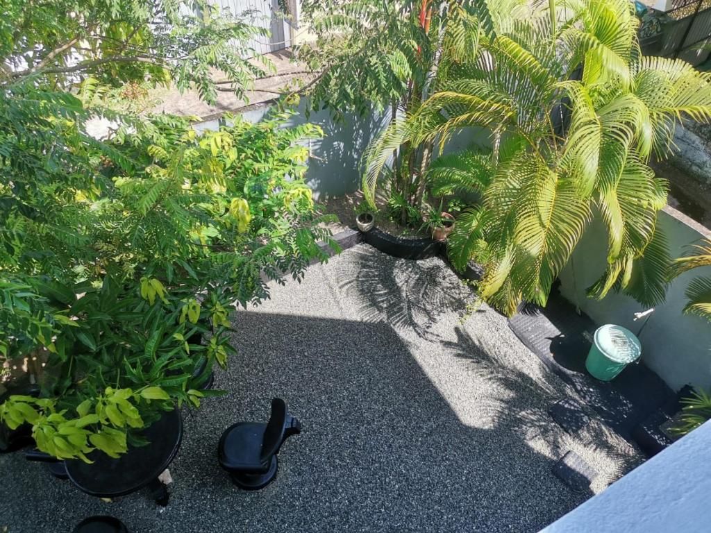 A rooftop garden with potted plants, a small seating area, and a water feature.