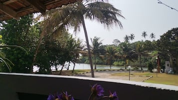 Vista de un jardín tropical con palmeras y un cuerpo de agua.