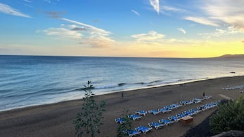 Une plage bordée de rangées de chaises longues bleues, offrant une vue dégagée sur l’océan.