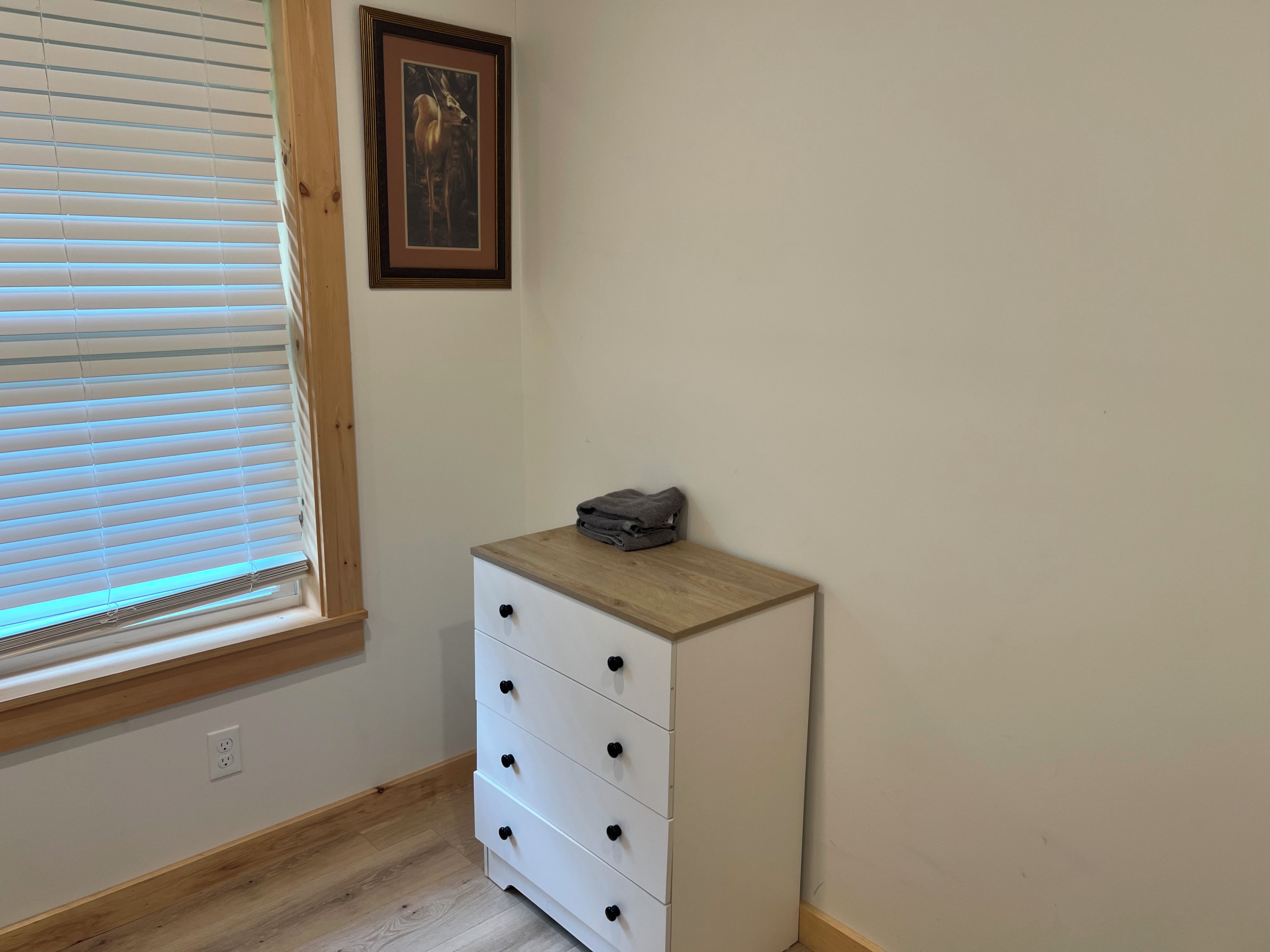 Een kamer met een raam, een aan de muur bevestigd schilderij en een witte ladekast.