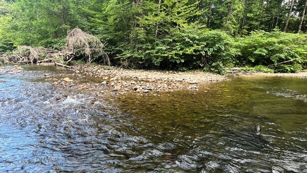 Unclassified image, 1 of 59, button - Private River Creek Retreat In White Mountains. Pet Friendly! (Wentworth)