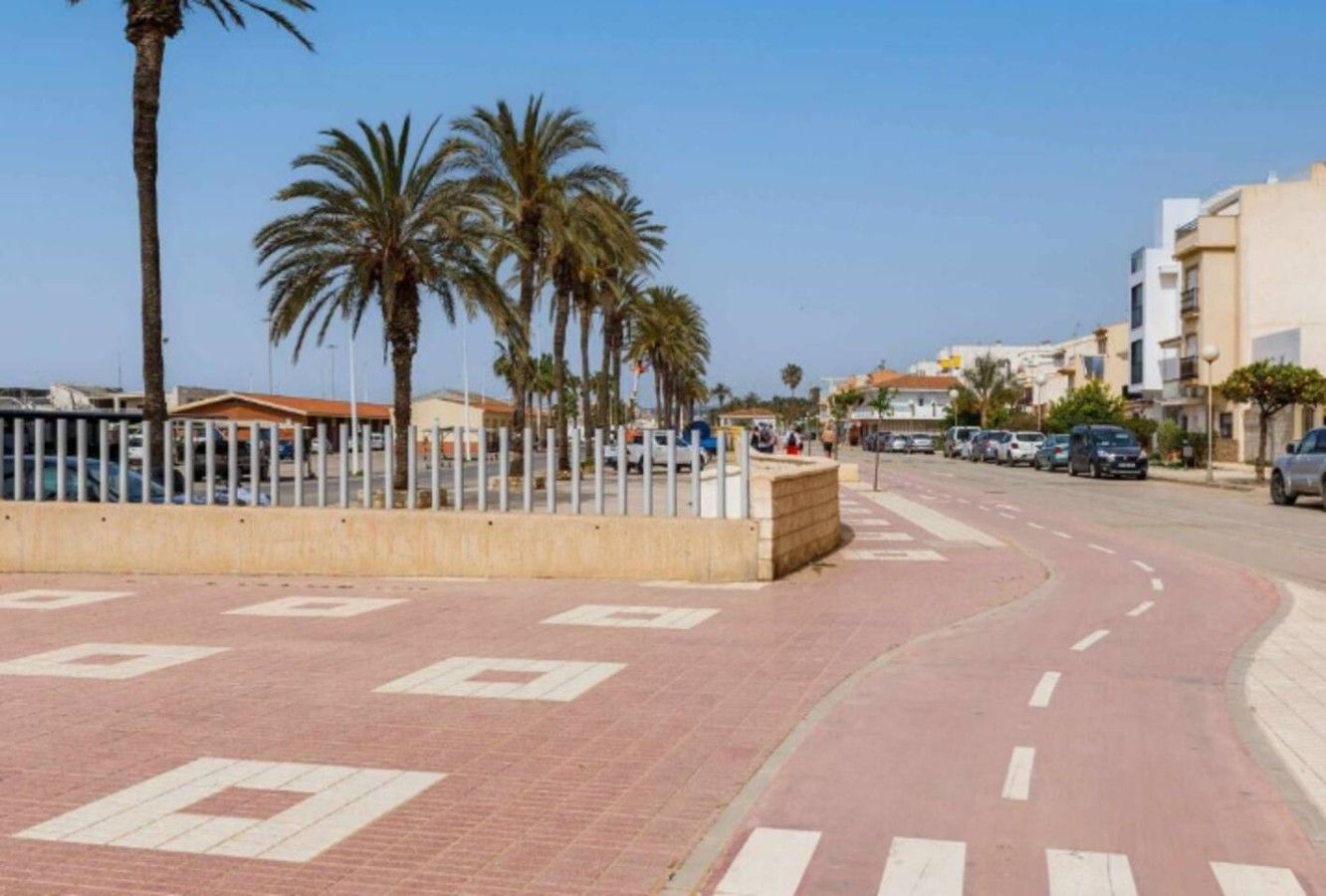 A paved pedestrian walkway with directional arrows, palm trees, and a curved road with cars.