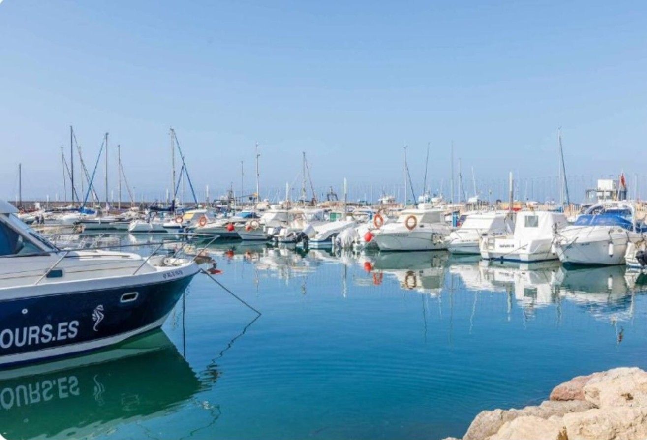 Un puerto deportivo con varias embarcaciones amarradas.