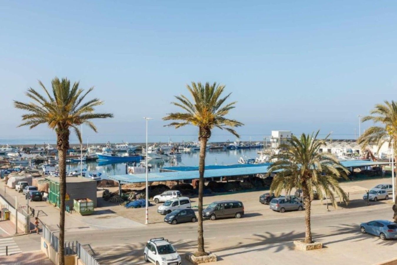 Un puerto deportivo con barcos, palmeras y cielo despejado.
