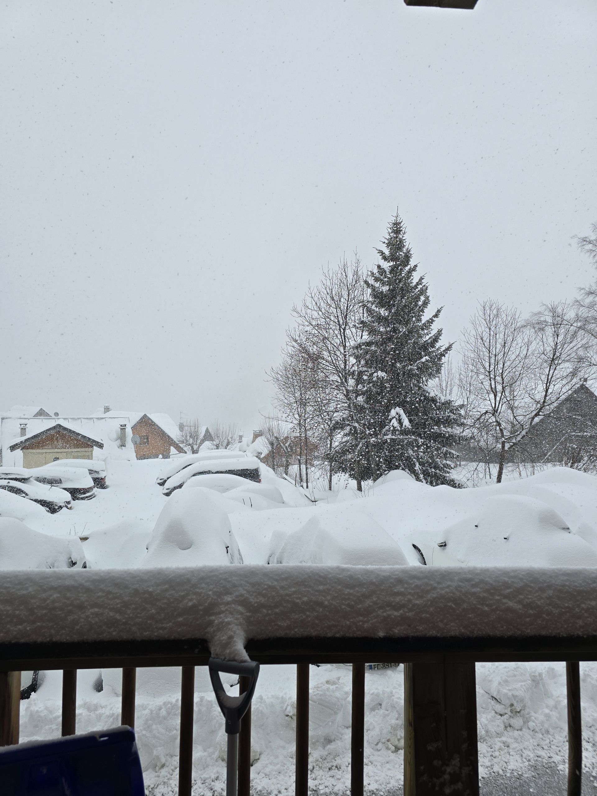 Ett snötäckt bostadsområde med hus och ett snötäckt träd.