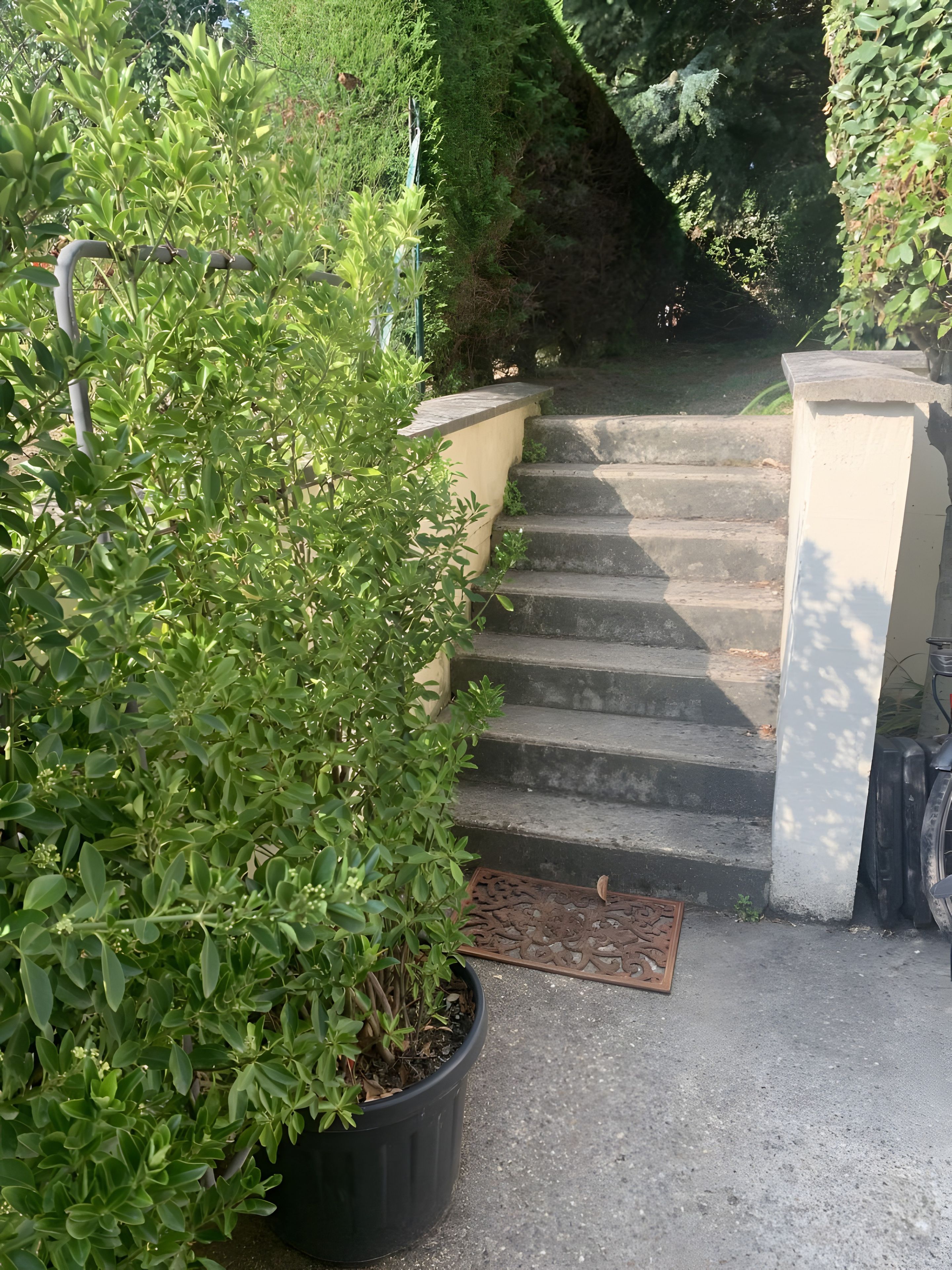 Un escalier en béton menant à un immeuble, entouré de verdure et agrémenté d’une plante en pot.