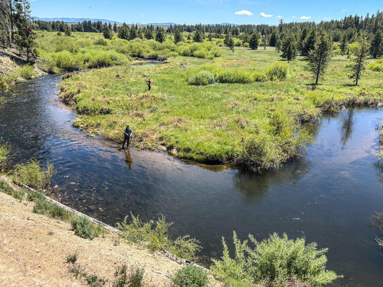 Une rivière traverse une prairie verdoyante, avec des arbres en arrière-plan.