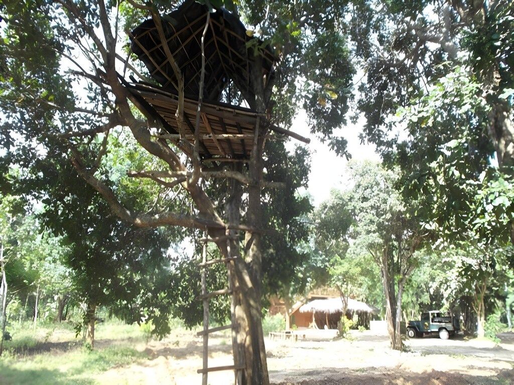 Una estructura tipo casa del árbol construida sobre un árbol, rodeada de un entorno boscoso natural.