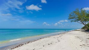 Een strand met helderblauw water, een zandstrand en een boom aan de rechterkant.