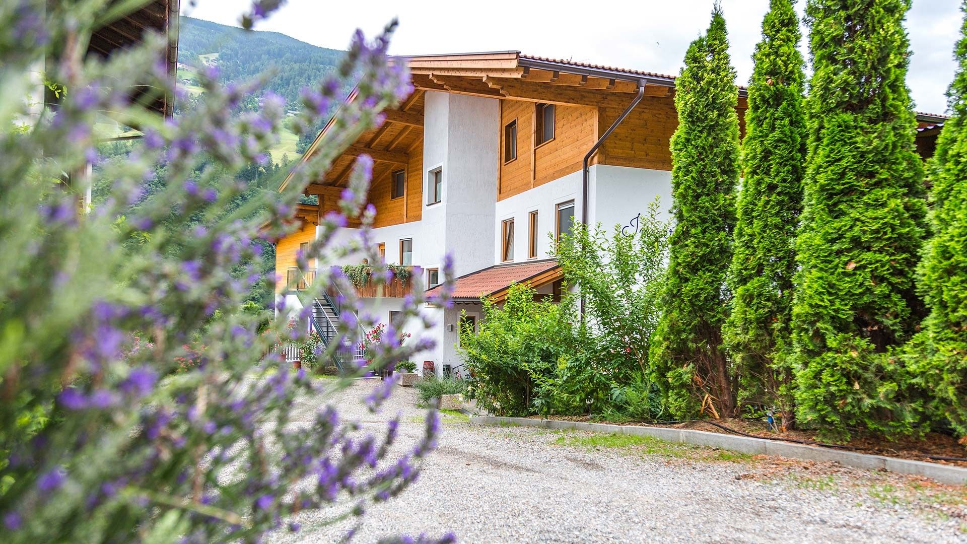 Ein mehrgeschossiges Gebäude mit Holzfassade und einem Schotterweg.