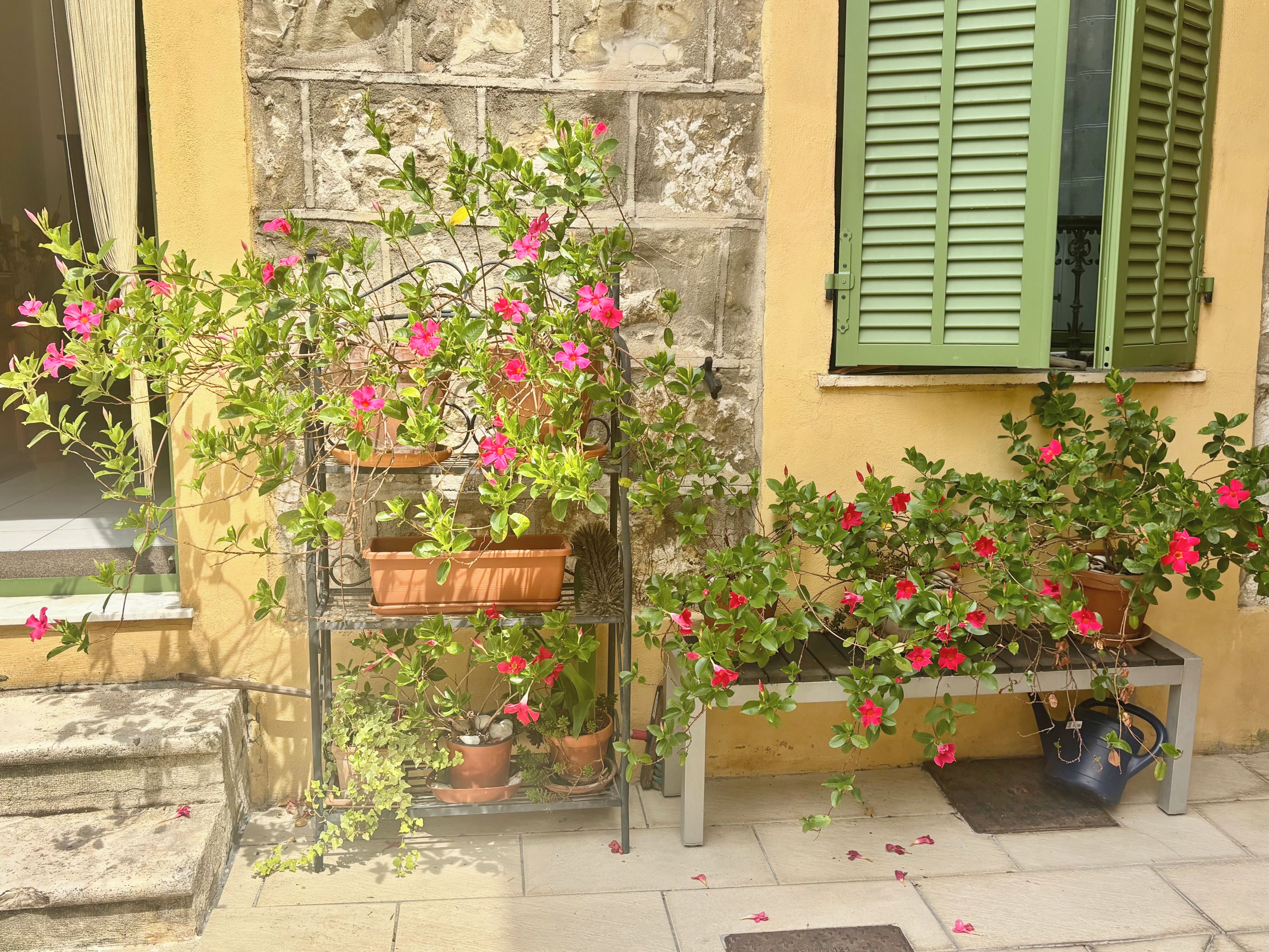 A building with a stone wall, a green window shutter, and potted plants with pink flowers.