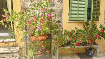A building with a stone wall, a green window shutter, and potted plants with pink flowers.
