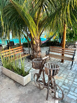 A hammock, a wooden bench, and a bicycle with baskets, all situated in a paved outdoor area with palm trees.