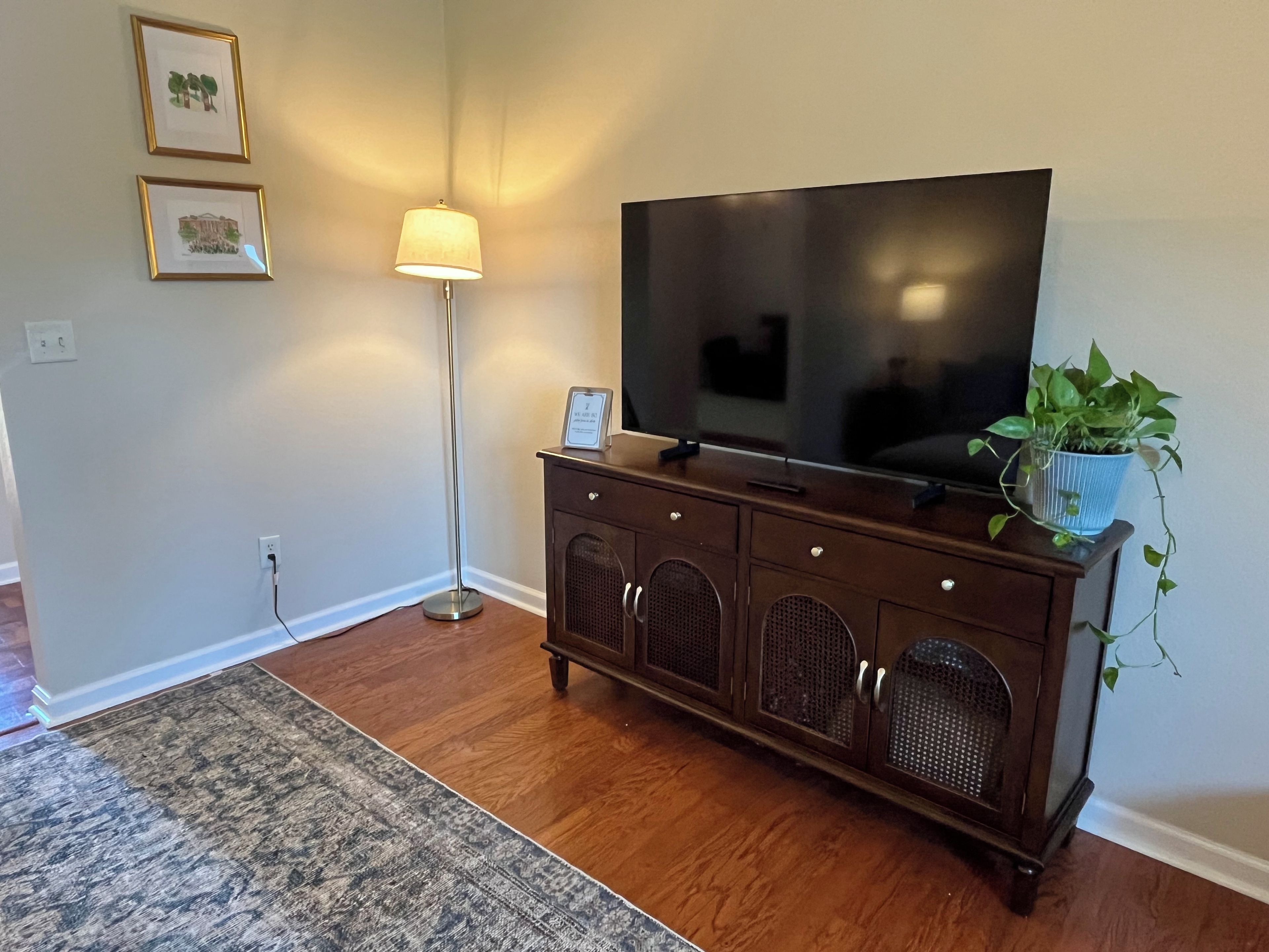 Un salon avec un téléviseur à écran plat posé sur un meuble en bois, un lampadaire, un tapis à motifs et une plante en pot.