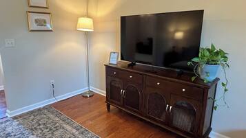Un salon avec un téléviseur à écran plat posé sur un meuble en bois, un lampadaire, un tapis à motifs et une plante en pot.
