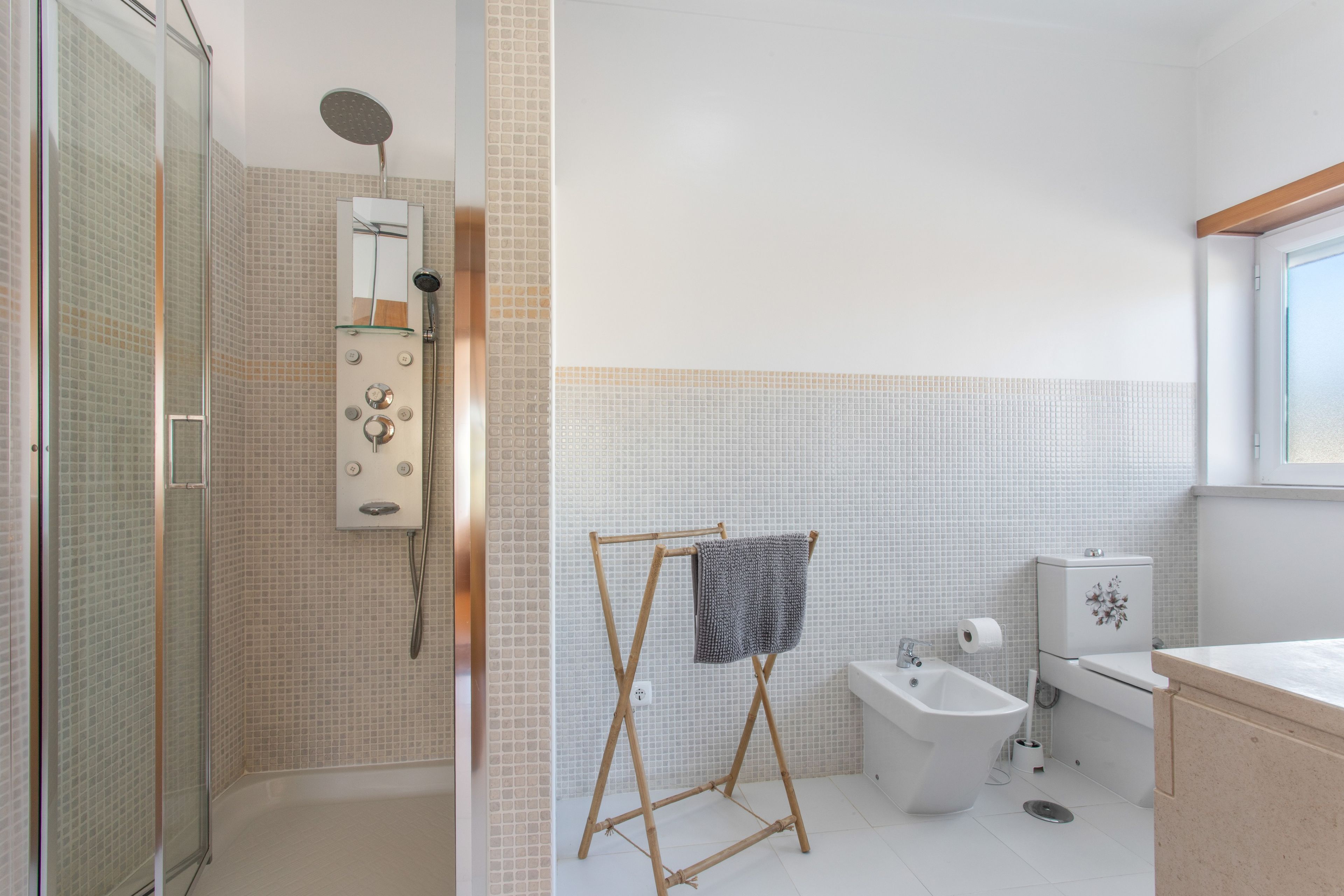 Shower, hair dryer, towels