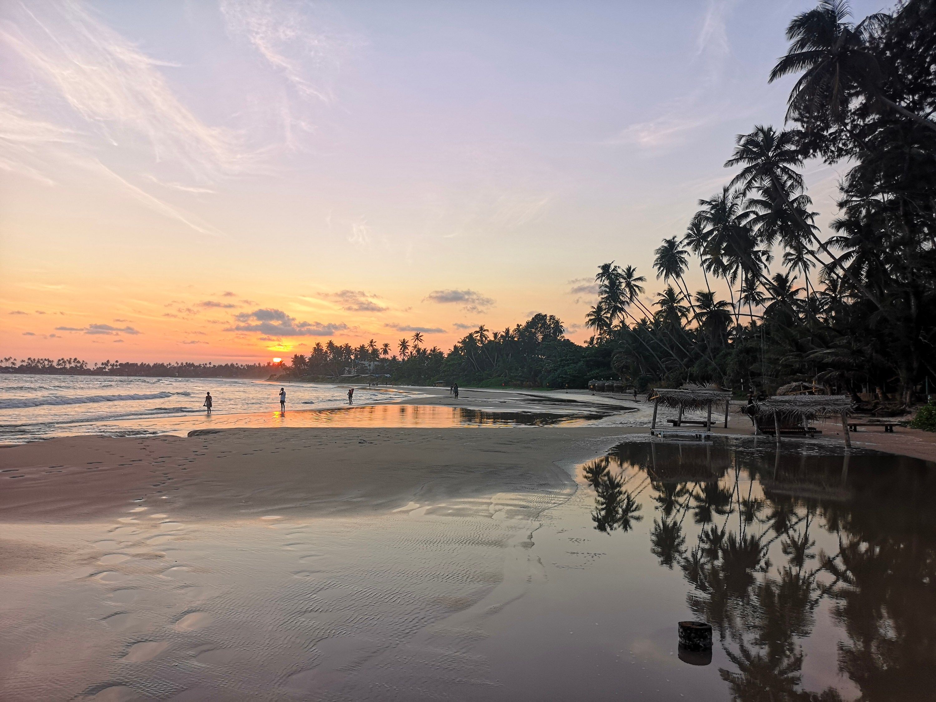 A beach with palm trees and a sunset.