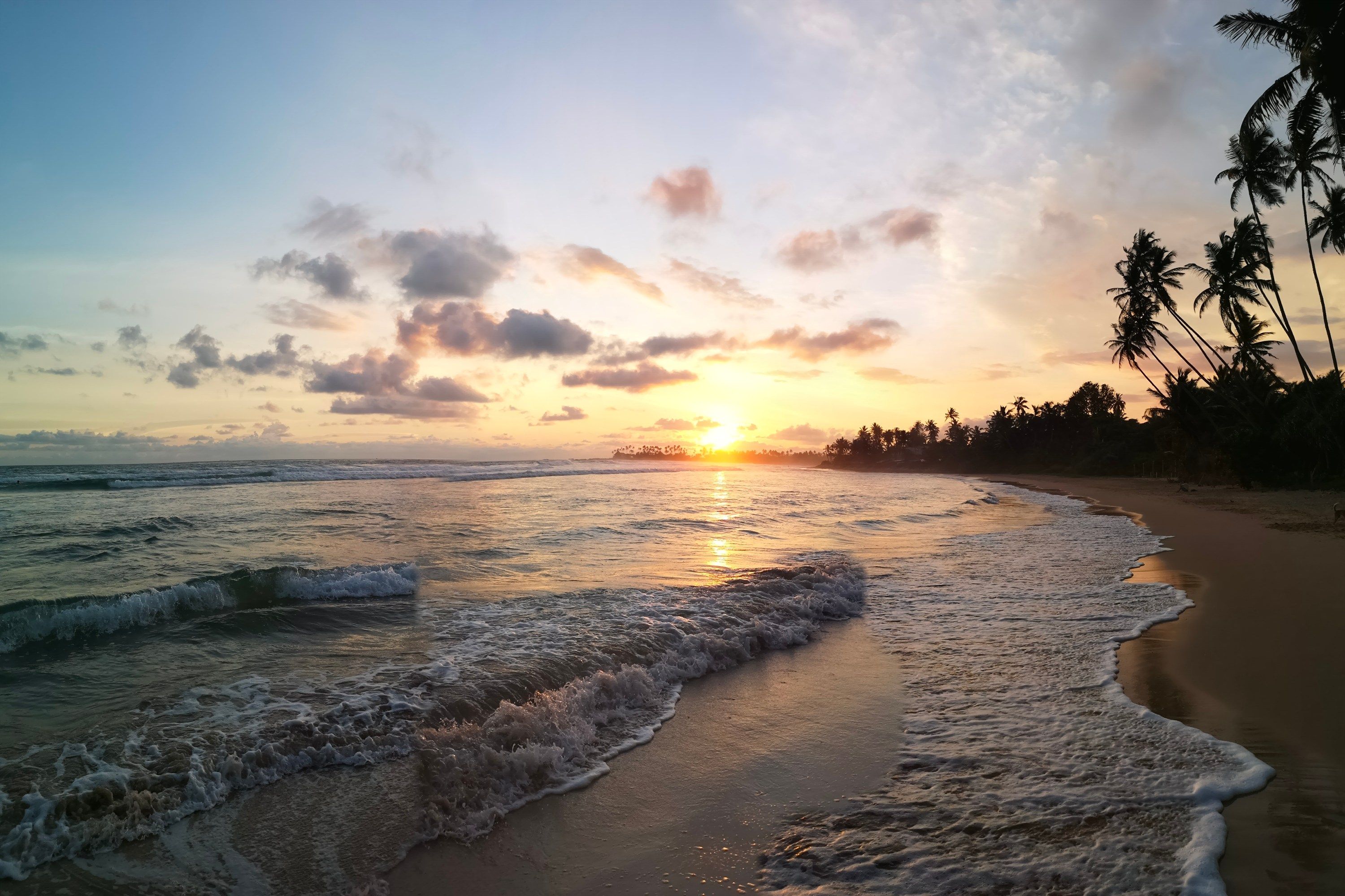 Una playa con olas, un atardecer y palmeras.