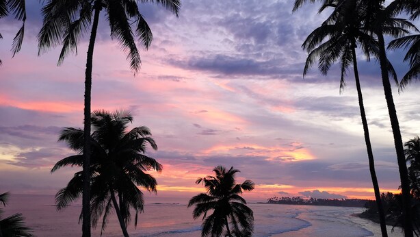 A beach with palm trees and a sunset. - Dickwella Beach Hotel (Dikwella)