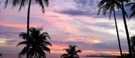 A beach with palm trees and a sunset.